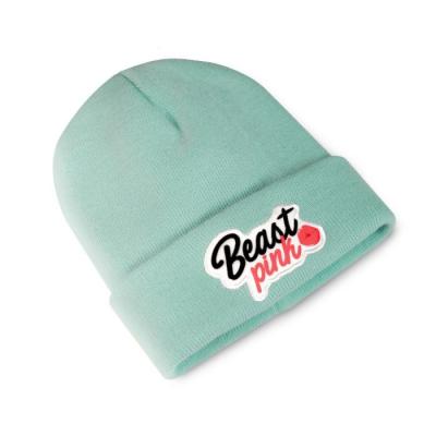 Beastpink Zimná čiapka Beanie Mint  universaluni