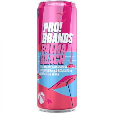 ProBrands BCAA Drink 24 x 330 ml ananás