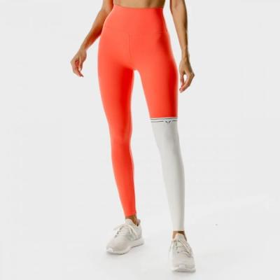 SQUATWOLF Dámske legíny LAB360º Colour Block Hot Coral  L