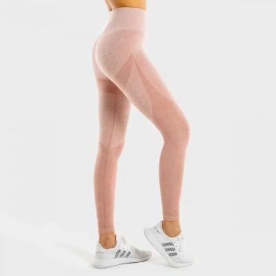 SQUATWOLF Dámske legíny Marl Seamless Rose Gold  L