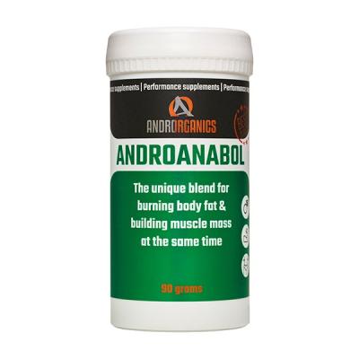 Androanabol - Androrganics 90 g