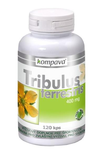 Tribulus terrestris - Kompava 120 kaps