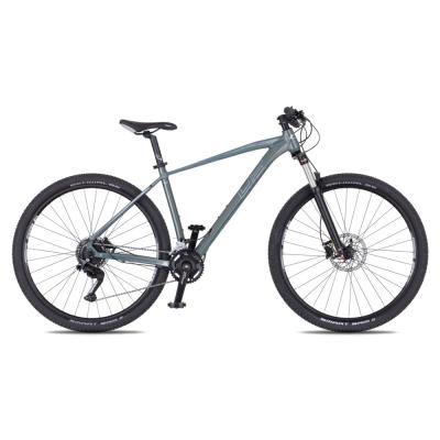 4EVER FRONTBEE 29'' - model 2025 foggy/silver - XL (21