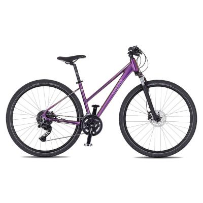 4EVER Pulse Disc 28'' - model 2026 purple/hologram - S (16,5