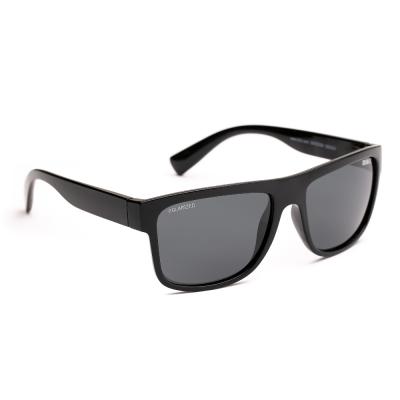 Bliz Polarized B Theo