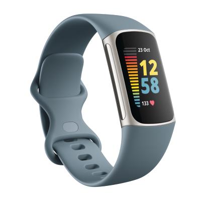 Fitbit Charge 5 Steel Blue/Platinum Stainless Steel