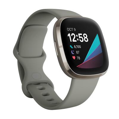 Fitbit Sense Sage Grey/Silver Stainless Steel