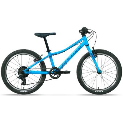 Galaxy Cetis 20