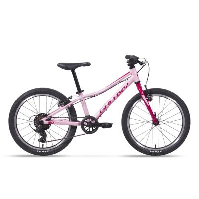 Galaxy Cetis 20