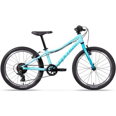 Galaxy Cetis 20