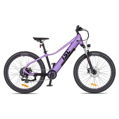 inSPORTline ISL Atezion 374 Wh 26