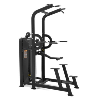 inSPORTline Velocer CD85