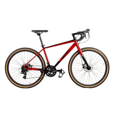 Olpran Ursus Arctos basic 28
