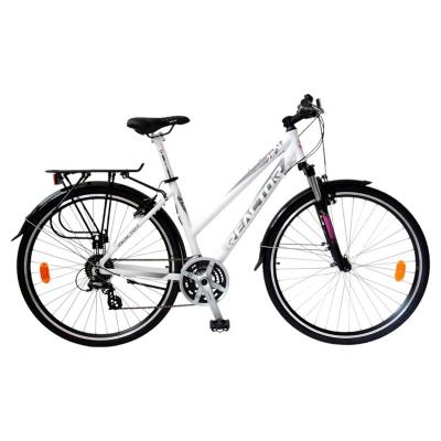 Reactor Rambler 28
