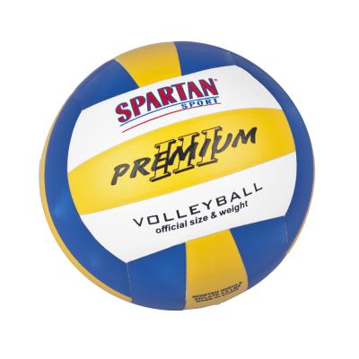 Spartan Volejbal míč Indoor