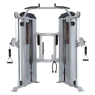 Steelflex Hope HDC2000 Dual Cable Chin Up